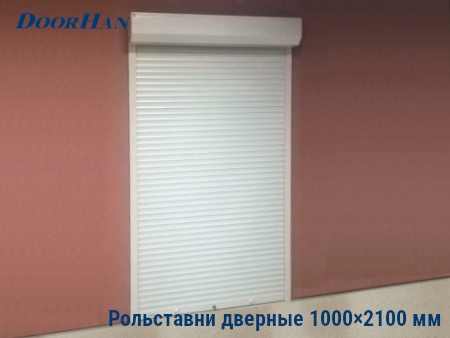 Рольставни на двери 1000×2100 мм в Йошкар-Оле от 32764 руб.