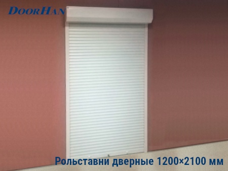 Рольставни на двери 1200×2100 мм в Йошкар-Оле от 36090 руб.