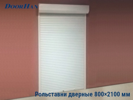 Рольставни на двери 800×2100 мм в Йошкар-Оле от 29437 руб.